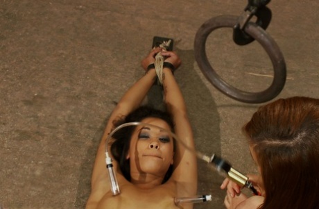 Brazzilian Hotel Sex hot nude galleries