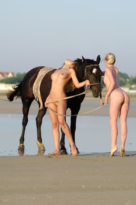 Mini Stallion pornstar naked galleries