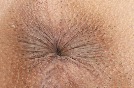Brazzilian Big Areolas hot nude photo