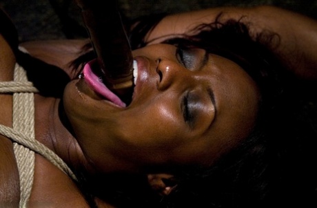 Brazzilian Tongue Blowjob hot nude images