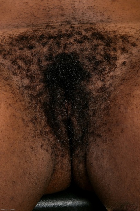 Ebony 69 art nude pics