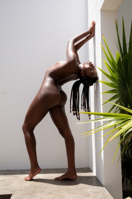 Black Anal Slave sex picture