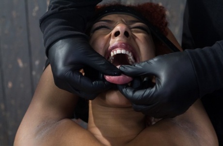 Brazzilian Sinnamon Love Gangbang sexy naked archive